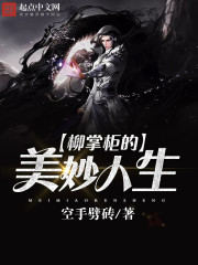 柳掌柜的美妙人生 柳掌柜的美妙人生