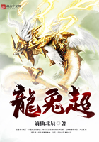 龙兔超 龙兔超