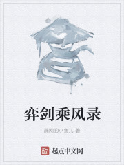 弈剑乘风录 弈剑乘风录