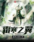 霜寒之翼 霜寒之翼