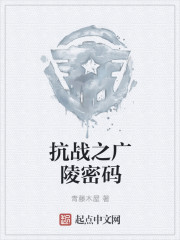 抗战之广陵密码 抗战之广陵密码