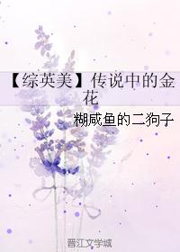 【综英美】传说中的金花 【综英美】传说中的金花