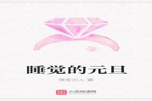 睡觉的元旦 睡觉的元旦