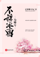 不辞冰雪为卿兮 不辞冰雪为卿兮