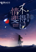 情斐不得已 情斐不得已
