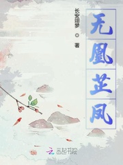 无凰芷凤 无凰芷凤