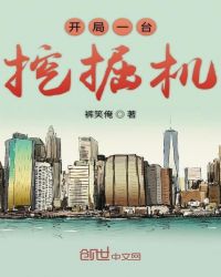 开局一台挖掘机 开局一台挖掘机