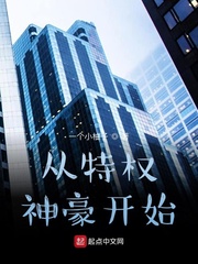 从特权神豪开始 从特权神豪开始