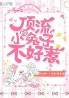 顶流的小兔子不好惹 顶流的小兔子不好惹