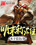 明末称雄 明末称雄