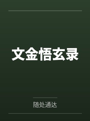 文金悟玄录 文金悟玄录