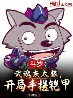 穿越斗罗武魂是灰太狼
