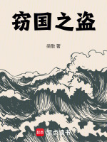 窃国之盗 窃国之盗