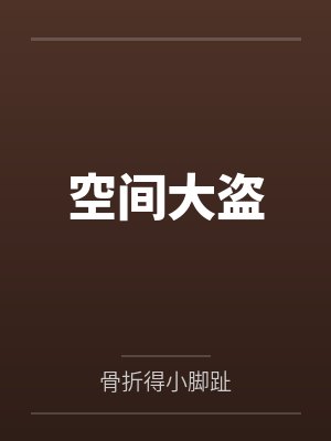 空间大盗 空间大盗