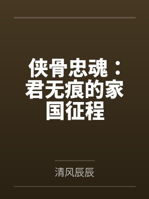 侠骨忠魂：君无痕的家国征程