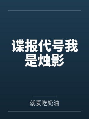 谍报代号我是烛影