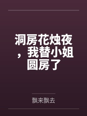 洞房花烛夜,我替小姐圆房了 洞房花烛夜,我替小姐圆房了
