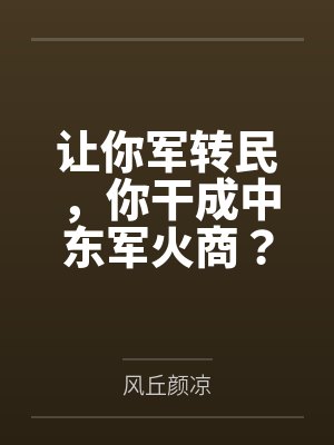 让你军转民，你干成中东军火商？