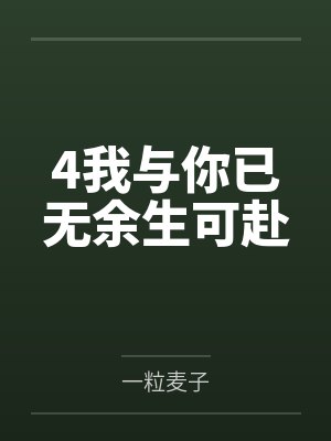4我与你已无余生可赴