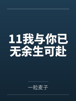 11我与你已无余生可赴