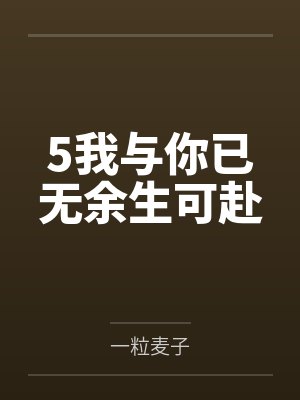 5我与你已无余生可赴